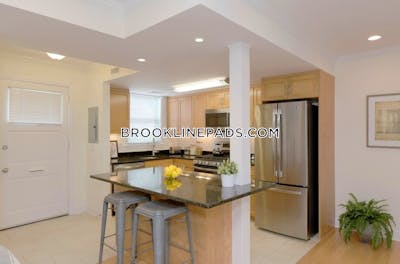 Brookline Apartment for rent 1 Bedroom 1 Bath  Chestnut Hill - $3,810 No Fee