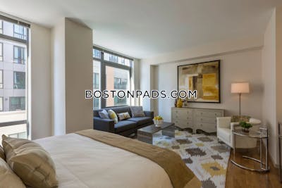 West End 2 bedroom  baths Luxury in BOSTON Boston - $4,650