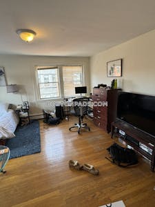Back Bay Apartment for rent Studio 1 Bath Boston - $2,250