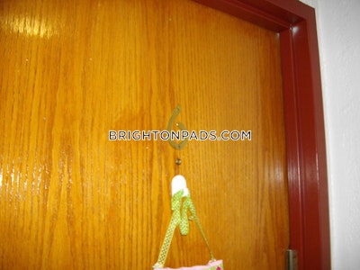 Brighton 3 Beds 1 Bath Boston - $3,700 No Fee