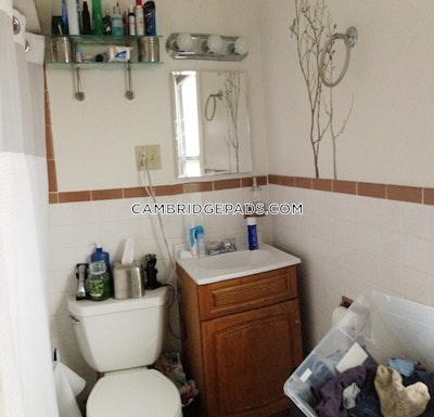 Cambridge Apartment for rent 1 Bedroom 1 Bath  Porter Square - $2,800 No Fee