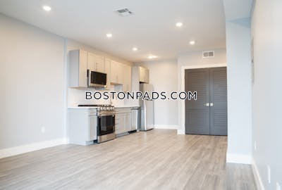 Brighton 1 Bed 1 Bath BOSTON Boston - $3,200 No Fee