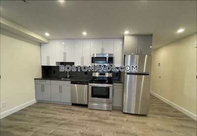 Brookline Studio 1 Bath  Boston University - $2,900