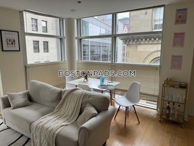 Downtown 1 Bed 1 Bath BOSTON Boston - $3,200 No Fee