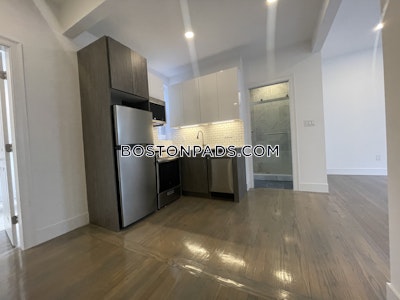 Fenway/kenmore 1 Bed 1 Bath BOSTON Boston - $2,925