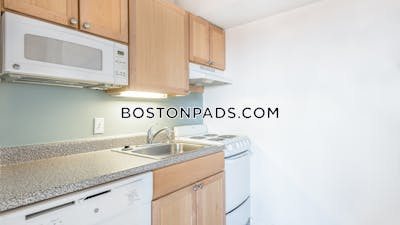 Cambridge 1 Bed 1 Bath CAMBRIDGE  Central Square/cambridgeport - $2,925