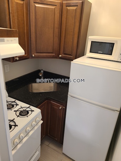 Northeastern/symphony 1 Bed 1 Bath Boston - $2,490
