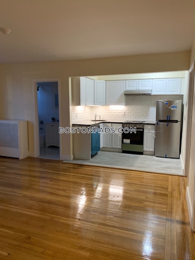 Allston/brighton Border 2 Beds Brighton Boston - $2,950 No Fee