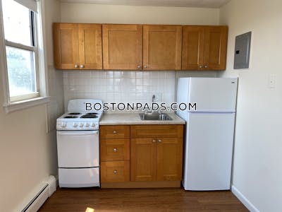 Allston/brighton Border 1 Bed 1 Bath Boston - $2,300 No Fee