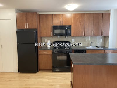 Brighton 1 Bed 1 Bath Boston - $2,860 No Fee
