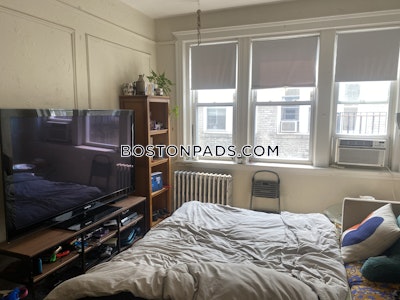 Brighton 1 Bed 1 Bath BOSTON  Boston - $2,475 No Fee