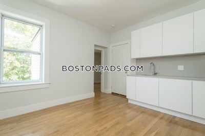 Brighton 2 Bed 1 Bath BOSTON Boston - $3,700