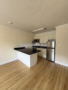 Brookline 1 Bed 1 Bath  Coolidge Corner - $2,840 No Fee