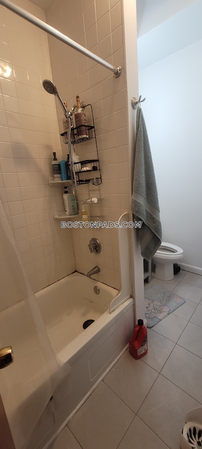 Mission Hill 6 Bed 4 Bath BOSTON Boston - $9,000 No Fee