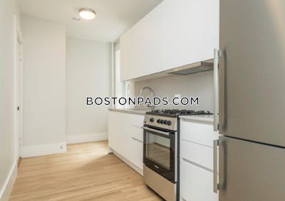 Brighton 1 Bed 1 Bath BOSTON Boston - $2,700 No Fee