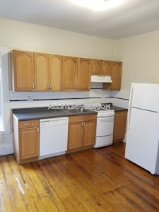 Allston/brighton Border Apartment for rent 1 Bedroom 1 Bath Boston - $2,400