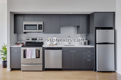 Allston Apartment for rent 1 Bedroom 1 Bath Boston - $4,062 No Fee