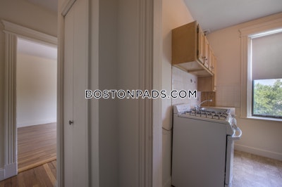 Allston Apartment for rent 1 Bedroom 1 Bath Boston - $2,550