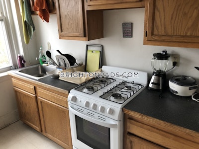 Brighton Apartment for rent 1 Bedroom 1 Bath Boston - $2,495 No Fee