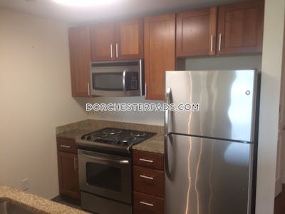 Dorchester Apartment for rent 1 Bedroom 1 Bath Boston - $4,053 No Fee