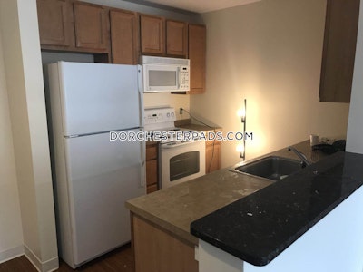 Dorchester Apartment for rent 2 Bedrooms 2 Baths Boston - $7,646 No Fee