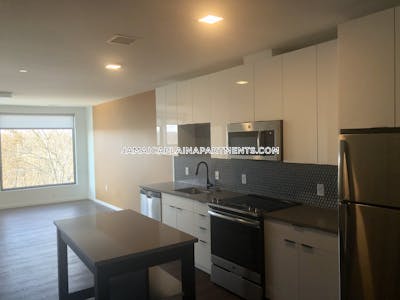 Jamaica Plain Apartment for rent 2 Bedrooms 1 Bath Boston - $4,770 No Fee
