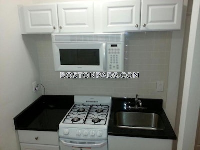 Northeastern/symphony Apartment for rent Studio 1 Bath Boston - $2,375 No Fee