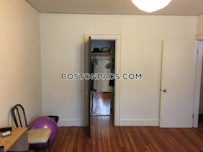 Brighton Apartment for rent 1 Bedroom 1 Bath Boston - $2,325 No Fee