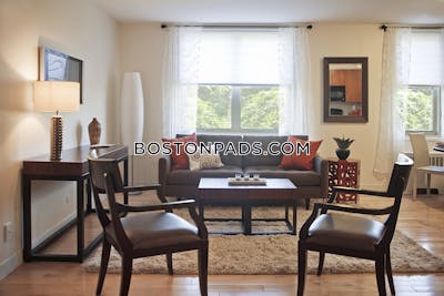 Brighton Apartment for rent 1 Bedroom 1 Bath Boston - $3,307 No Fee