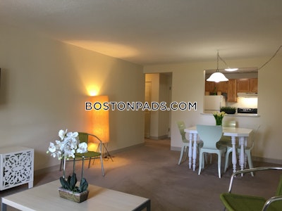 Dorchester Apartment for rent 1 Bedroom 1 Bath Boston - $3,356 No Fee