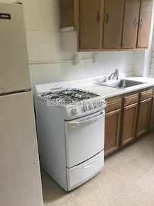 Brighton Apartment for rent 1 Bedroom 1 Bath Boston - $2,445 No Fee