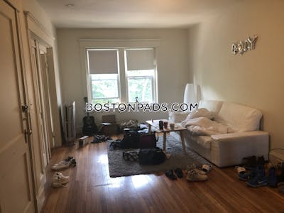 Brighton Apartment for rent 3 Bedrooms 1 Bath Boston - $3,545 No Fee