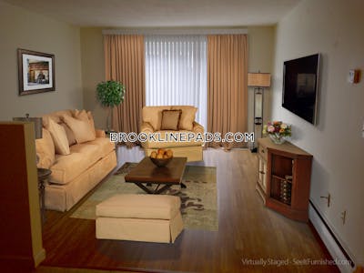 Brookline Apartment for rent 1 Bedroom 1 Bath  Boston University - $2,800