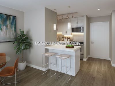 Brookline 1 Bed 1 Bath BROOKLINE- BROOKLINE VILLAGE $3,399  Brookline Village - $2,500