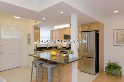 Brookline Apartment for rent 1 Bedroom 1 Bath  Chestnut Hill - $3,820 No Fee