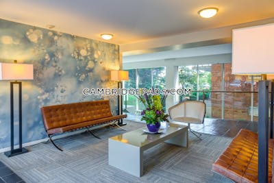Cambridge Apartment for rent 2 Bedrooms 1 Bath  Kendall Square - $3,795