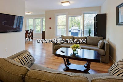 Cambridge Apartment for rent 3 Bedrooms 2 Baths  Mt. Auburn/brattle/ Fresh Pond - $5,450 No Fee