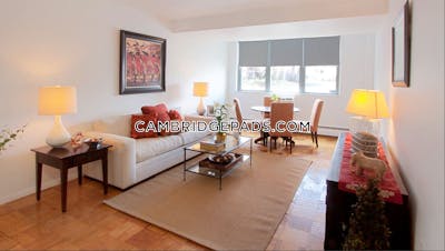 Cambridge Apartment for rent 1 Bedroom 1 Bath  Porter Square - $3,117 No Fee