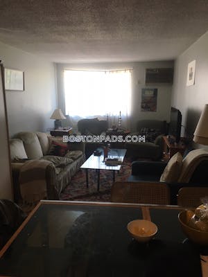 Somerville Apartment for rent 1 Bedroom 1 Bath Magoun/ball Square - $1,700