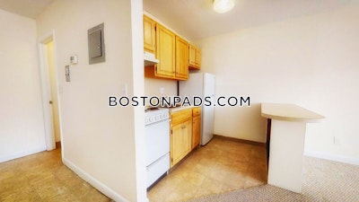 Cambridge Apartment for rent 1 Bedroom 1 Bath  Mt. Auburn/brattle/ Fresh Pond - $2,600