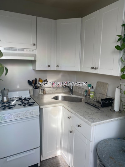 Allston Apartment for rent 1 Bedroom 1 Bath Boston - $2,400