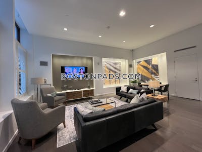 Downtown Apartment for rent 1 Bedroom 1 Bath Boston - $4,998 50% Fee