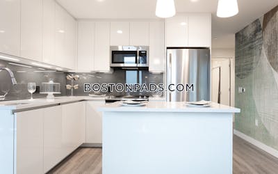 West End Apartment for rent 2 Bedrooms 2 Baths Boston - $10,503