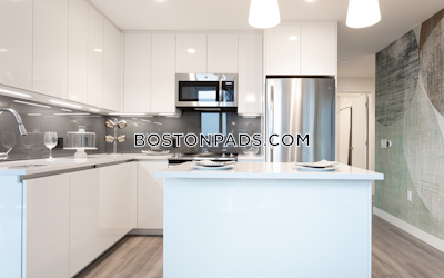 West End Apartment for rent 2 Bedrooms 2 Baths Boston - $10,934