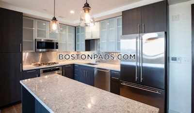 West End 1 bedroom  Luxury in BOSTON Boston - $3,867