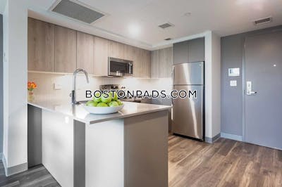 Roxbury 1 bedroom  Luxury in BOSTON Boston - $4,899 No Fee