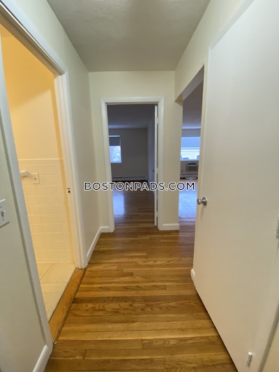 Allston Apartment for rent 1 Bedroom 1 Bath Boston - $2,550 No Fee