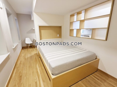 Cambridge Studio 1 Bath  Harvard Square - $3,700