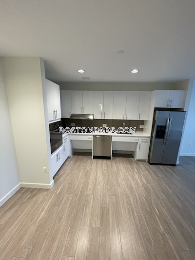 Allston Apartment for rent 1 Bedroom 1 Bath Boston - $3,731