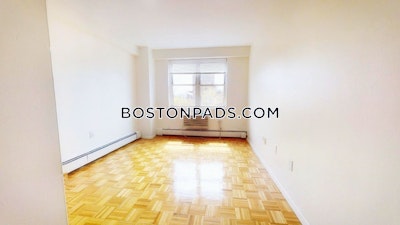 Brookline Apartment for rent 1 Bedroom 1 Bath  Boston University - $3,300 No Fee